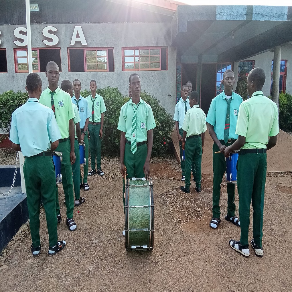 Senior secondary arts and commercial students in advanced study